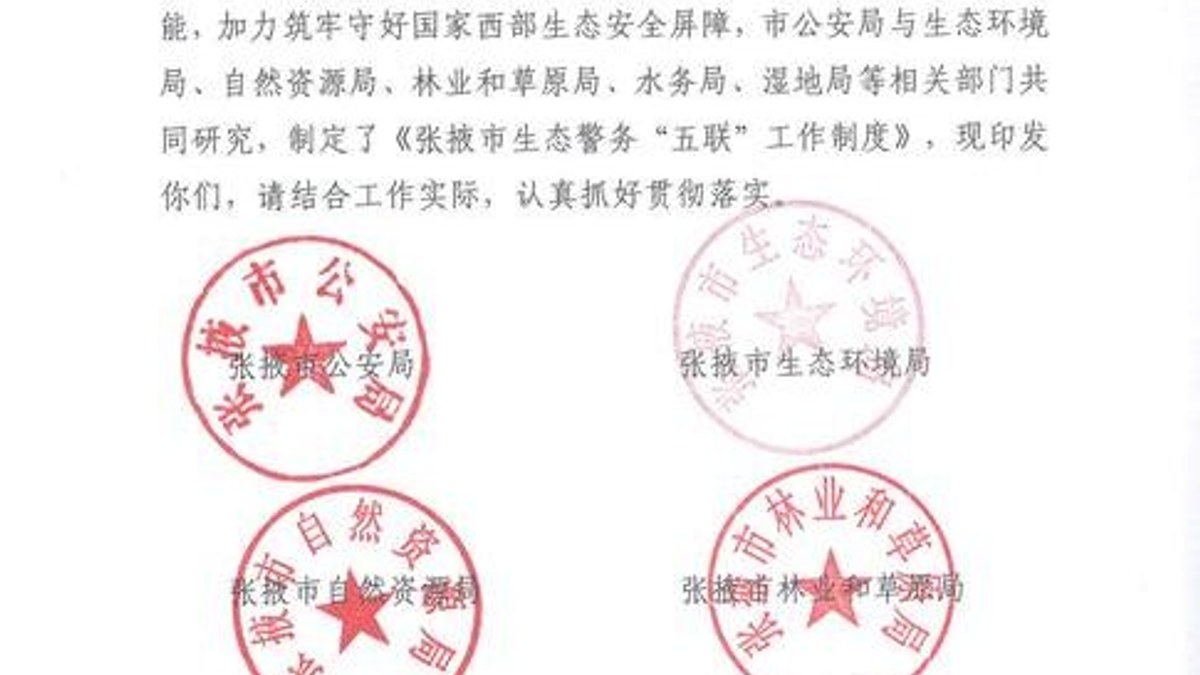 实缴验资:企业资本运作中不可绕过的一道关口
